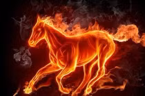 Quý nhân vây quanh, 4 tuổi đỏ cả tiền lẫn tình 2 tháng tới