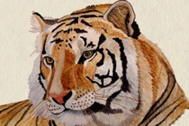 Cuối 2024, 3 tuổi số vương giả, tiền đếm không ngơi tay