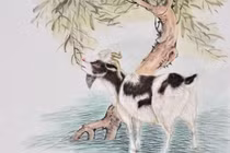 Sau 8/3, 4 con giáp ăn nên làm ra, 1 tuổi giàu ú ụ 