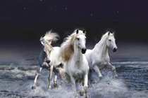 Trước Tết Giáp Thìn: 4 tuổi lộc vào tận cửa, dễ giàu to