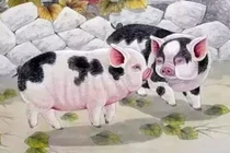 Từ nay tới Rằm tháng 2: 4 tuổi đắc tài đắc lộc, giàu to