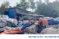 Xả trực tiếp hơn 7.700 tấn chất thải, người phụ nữ bị khởi tố