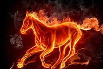 Trời định số giàu, 4 tuổi vừa trúng số vừa lãi đậm trước Tết