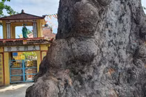 Kho báu bí ẩn nhất Việt Nam, chuyên gia đau đầu giải mã