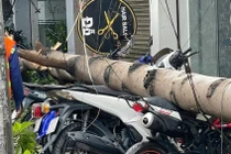 Mưa giông khiến cây xanh bật gốc, đè nhiều xe máy ở Đồng Nai