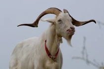 Rơi trúng hố tiền: 3 tuổi đột phá thu nhập, cuối năm 2024 giàu to