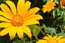 Đón tháng 4 Âm: 3 tuổi hứng mưa tài lộc, bùng nổ doanh thu