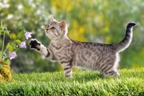 Qua Tết 2025, 3 tuổi tiền tăng gấp 10, dễ mua nhà, tậu xe