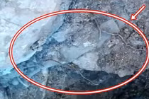 Lật tảng đá, thấy thứ lạ lùng, chuyên gia thốt lên "bảo vật"