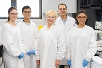 Bề mặt kháng khuẩn lấy cảm hứng từ cánh côn trùng