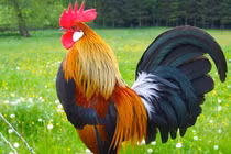 Đầu tháng 1/2025: 3 tuổi tiền kéo về nườm nượp, giàu chạm nóc