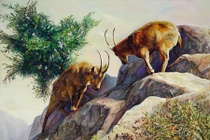 Bốc đồng mùa Euro, 3 tuổi dễ thủng ví, tiền không cánh mà bay