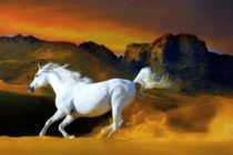 Từ 8 - 10/12: 3 tuổi giàu lên vun vút, chạm đỉnh tiền tài