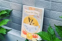 Thời gian chữa lành cho mọi vết thương