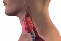 Dễ dàng phát hiện ung thư tuyến giáp bằng chiếc gương soi