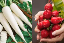 Những loại rau củ nên ăn nhất trong mùa đông 