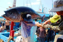 VINAFIS luôn sát cánh cùng ngư dân