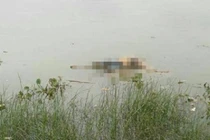 Bàng hoàng phát hiện thi thể nam giới trôi dạt trên sông Đà