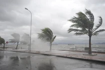 Bão Conson tương tác với bão Chanthu, đường đi rất phức tạp