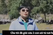 Video: Người phụ nữ Trung Quốc nuôi dưỡng bầy sói hơn 100 con