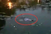 Thi thể nữ sinh Học viện Nông nghiệp nổi giữa hồ nước
