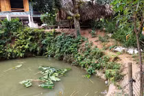 Phát hiện bé gái 3 tuổi đuối nước dưới ao trước cửa nhà