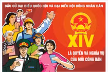 Các bước bỏ phiếu bầu bầu cử Đại biểu Quốc hội, HĐND các cấp