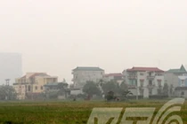 Giải mã làng thịt chó không ai dám… giết chó!