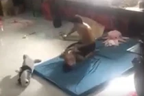 Người đàn ông đánh đập dã man bé trai 5 tuổi