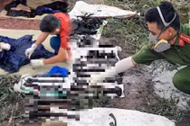 Rợn người những vụ phát hiện thi thể không còn nguyên vẹn