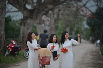 Hoa gạo tháng 3 đỏ rực cả góc trời Hà Nội