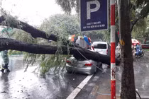 Cây cổ thụ bật gốc đè bẹp đuôi xe Camry trong cơn mưa lớn ở Hà Nội