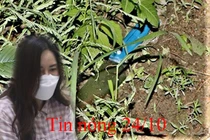 Tin nóng 24/10: Ngồi uống nước vỉa hè, người đàn ông bị đâm tử vong