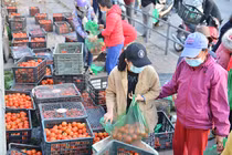 "Chia lửa" với Hải Dương, người Hà Nội đổ xô đi giải cứu nông sản