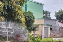 Phục sẵn ở ngõ dùng xẻng tấn công hàng xóm