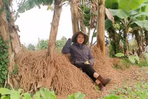 Bỏ việc lương cao về quê khởi nghiệp, 8x Hải Phòng thu cả tỷ đồng/năm