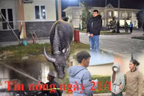 Tin nóng ngày 21/1: Không xin được tiền, chồng bỏ thuốc chuột đầu độc vợ