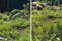 Nam thanh niên 18 tuổi tử vong bất thường nằm giữa bụi cỏ