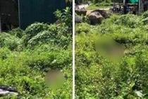 Nam thanh niên 18 tuổi tử vong bất thường nằm giữa bụi cỏ