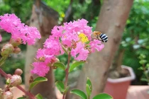 Chồng ngoại tình, vợ trả đũa bằng cách cặp bồ và cái kết đầy hối hận