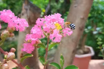 Chồng ngoại tình, vợ trả đũa bằng cách cặp bồ và cái kết đầy hối hận