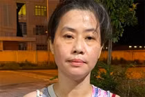 Bắt giam nữ Giám đốc công ty lừa đảo hơn 234 tỷ đồng