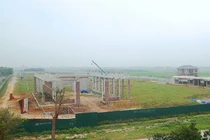 Dự án 670 tỉ đồng “đắp chiếu”, thành bãi chăn bò