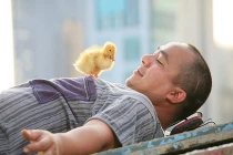 Ngắm bộ sưu tập thú cưng trong phim Vũ Ngọc Đãng