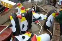 Bán vé giá “cắt cổ”, sở thú cho khách xem chim cánh cụt...bơm hơi