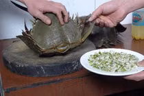 Video: Tự mời gọi thần chết vào nhà khi ăn so biển 