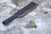 Thử lý giải hành động man rợ phân xác chồng của người vợ