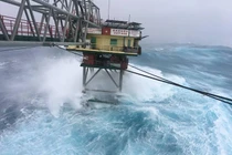 Bão số 16 giảm cấp, có khả năng không đi vào đất liền