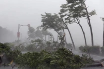 Áp thấp nhiệt đới gây lốc xoáy, vòi rồng ở Nam Bộ