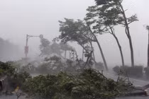 Áp thấp nhiệt đới gây lốc xoáy, vòi rồng ở Nam Bộ